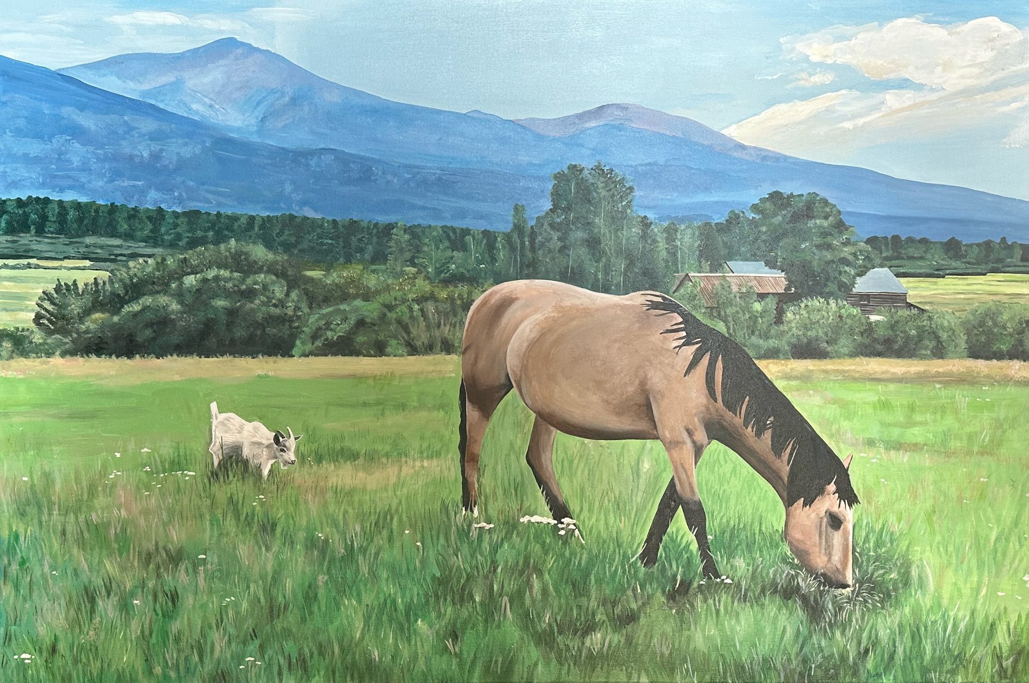 horse painting in colorado